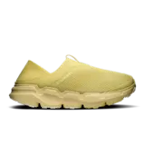 Acacia | Acacia